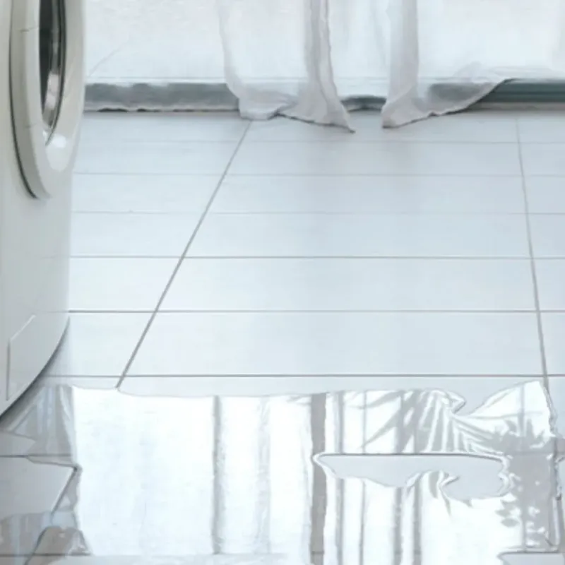 Appliance Leak Cleanup in Newton County, AR