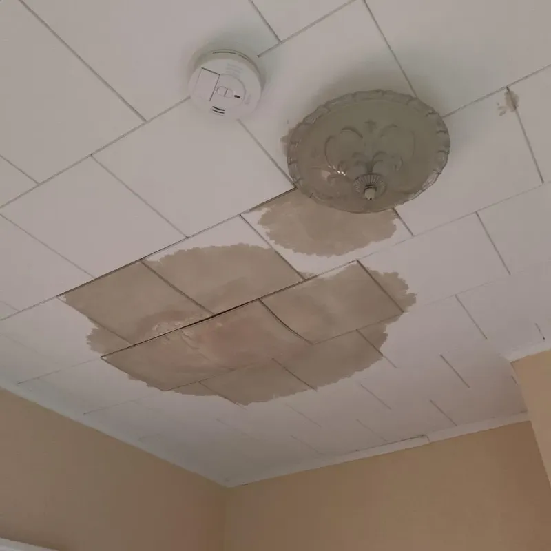 Ceiling Water Damage Repair in Newton County, AR