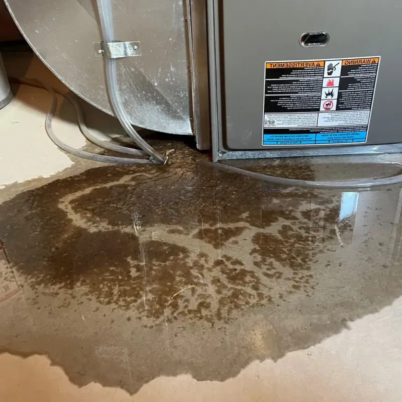 Pipe Burst and Leak Restoration in Newton County, AR