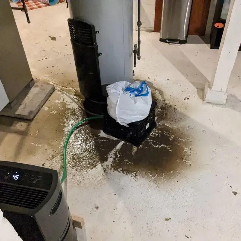 Sewage Backup Cleanup Service in Newton County, AR